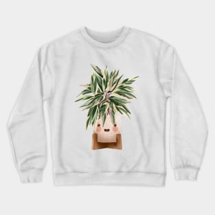 Cute Plant Illustration, Calathea Triostar Illustration 3 Crewneck Sweatshirt